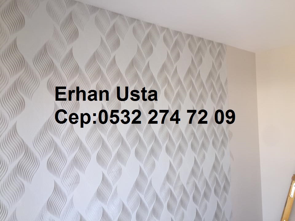 Kıraç duvar kağıdı ustası