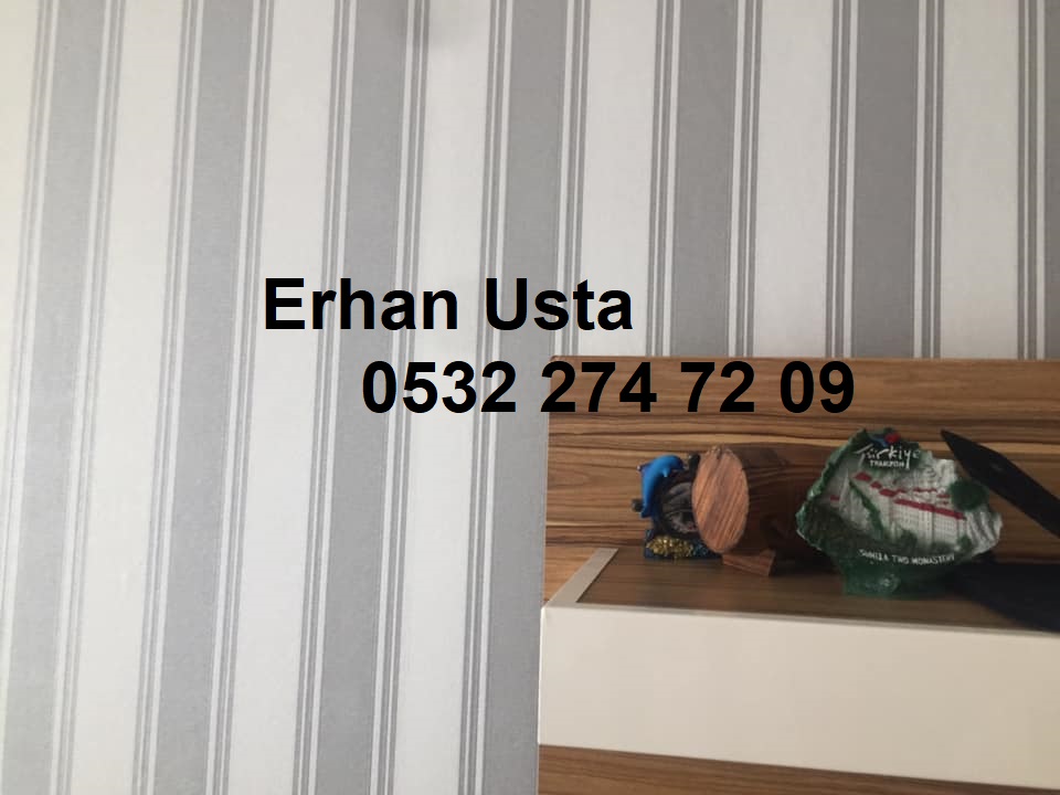 Duvar Kağıdı Ustası
